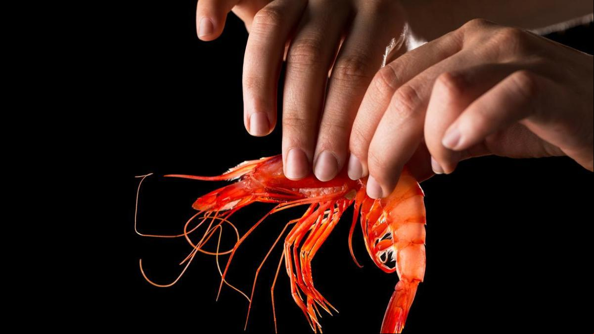 Los microplásticos presentes en las gambas no son un peligro para la salud