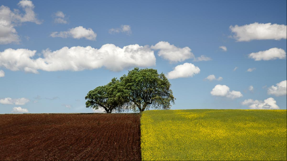 La estrategia sostenible de Santander hacia una economía verde