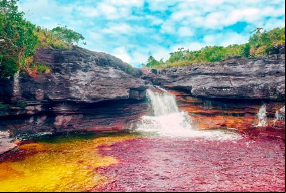 Caño Cristales, el río más bonito del mundo, ya se puede visitar después de varias décadas cerrado