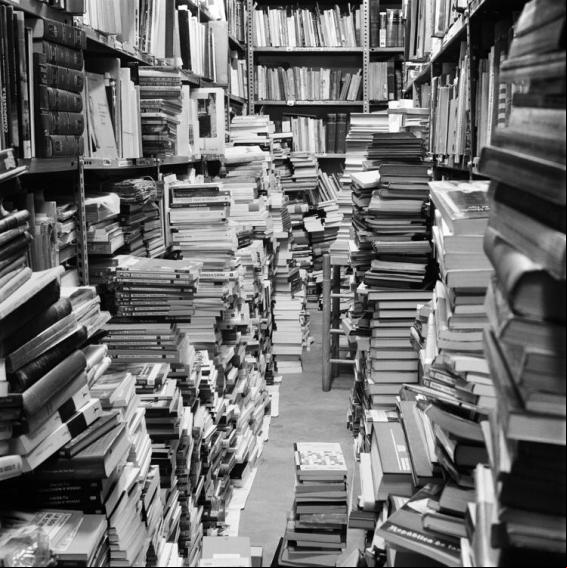 Nuestro Madrid de los libros
