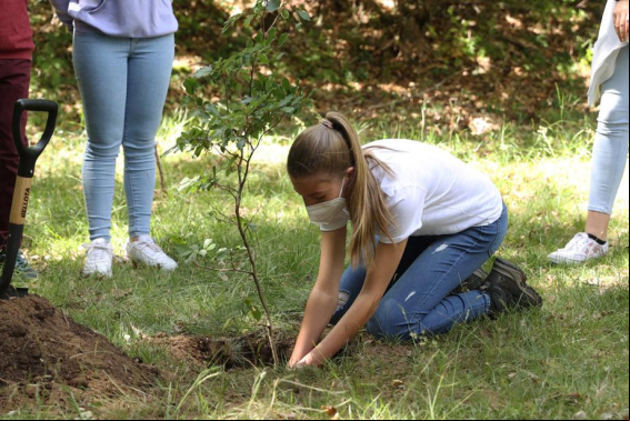 Leonor y Sofía debutan como ecologistas