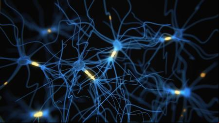 Neuronas