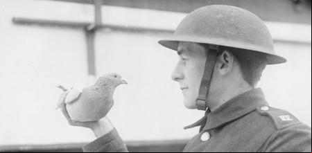 Un soldado británico con una paloma mensajera, en 1917