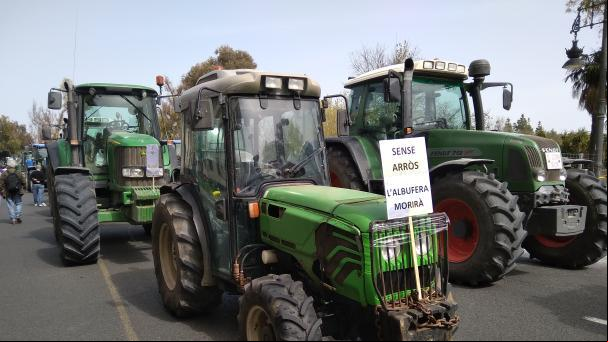 Los agricultores del arroz de València, en pie de guerra: “Está en peligro la paella”