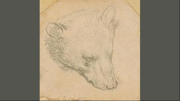 Este dibujo de Leonardo da Vinci puede batir récords y venderse por 14 millones de euros