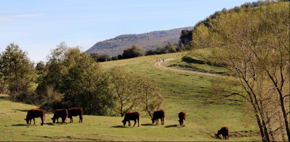 La Garrotxa, un volcán de emociones