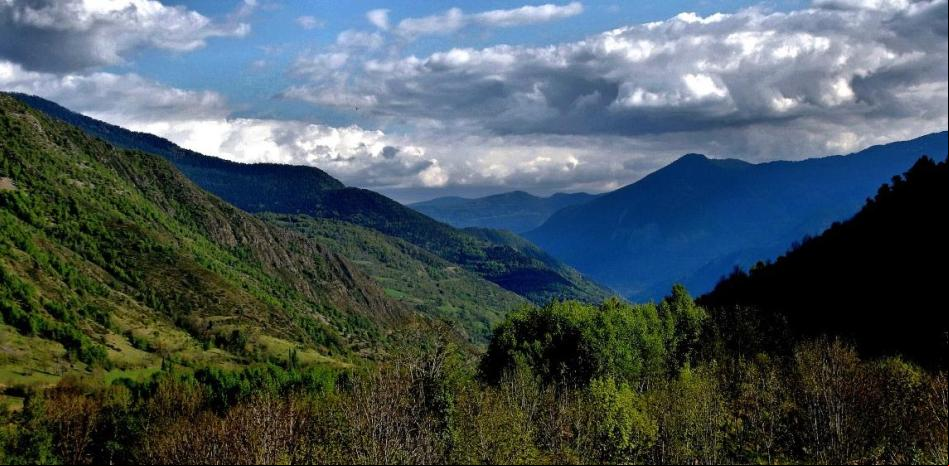 ¿Dónde ofrecen baños de bosque en Girona?