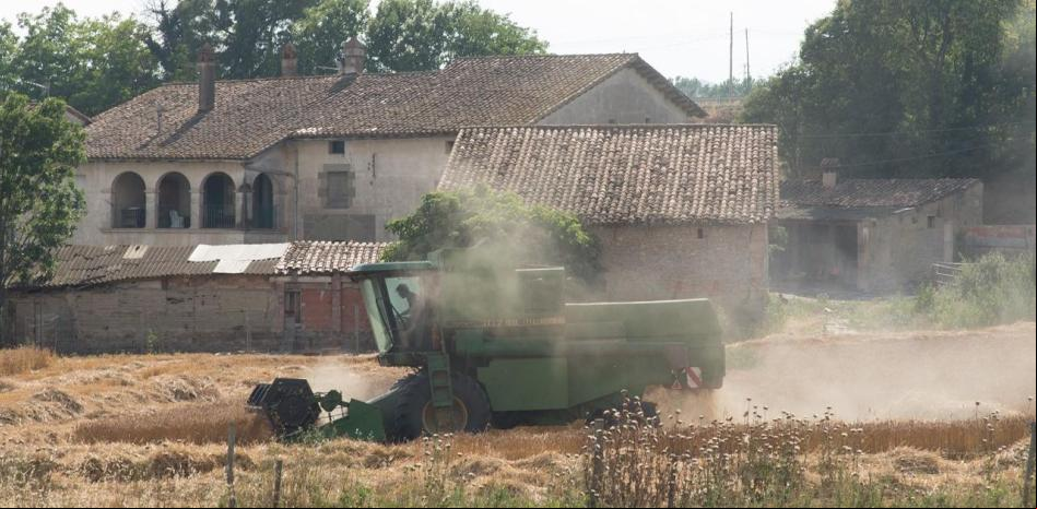 La siega en los campos de Camporat