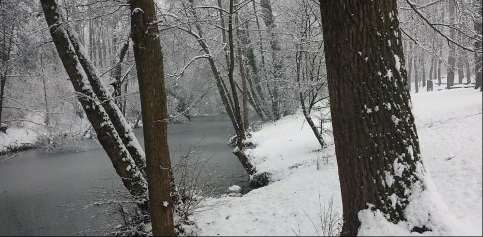 Pícnic entre la nieve en Olot