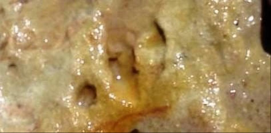 Las pisadas más antiguas de los neandertales