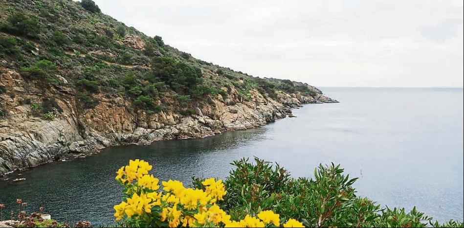 Oposición al parque eólico marino de la Costa Brava