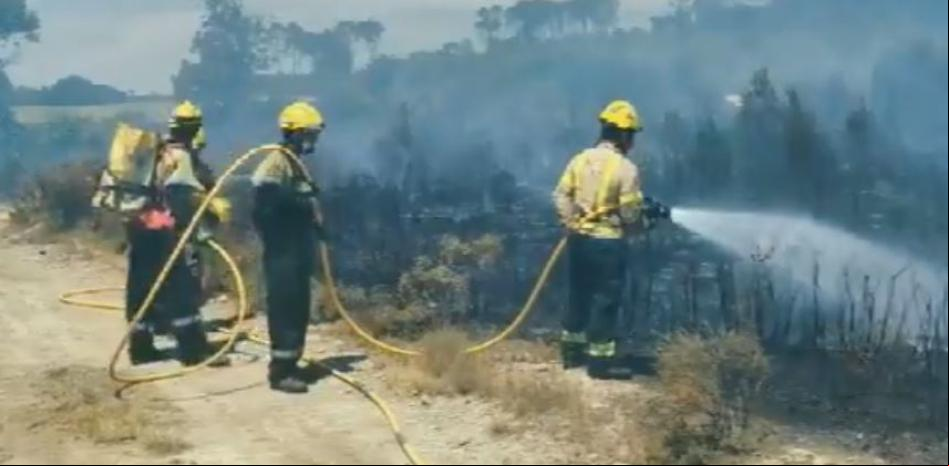 Extinguido el incendio forestal de Colomers, en el Baix Empordà
