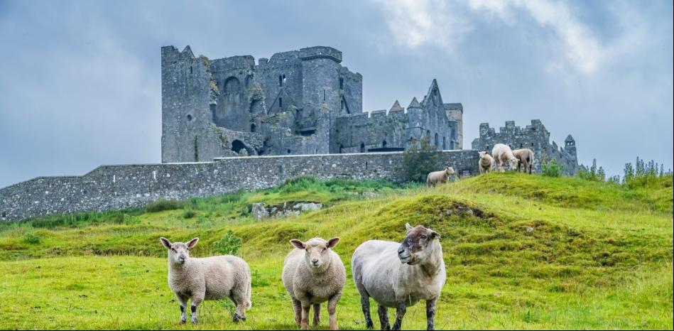 Vuelos desde 14,99€ o fly & drive por Irlanda por 537€, chollos de hoy