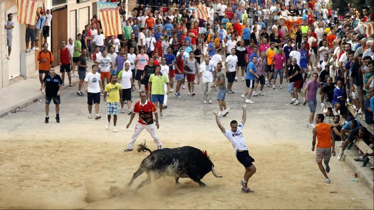 Pacma pide prohibir los bous al carrer tras la muerte de un hombre en la Pobla de Farnals
