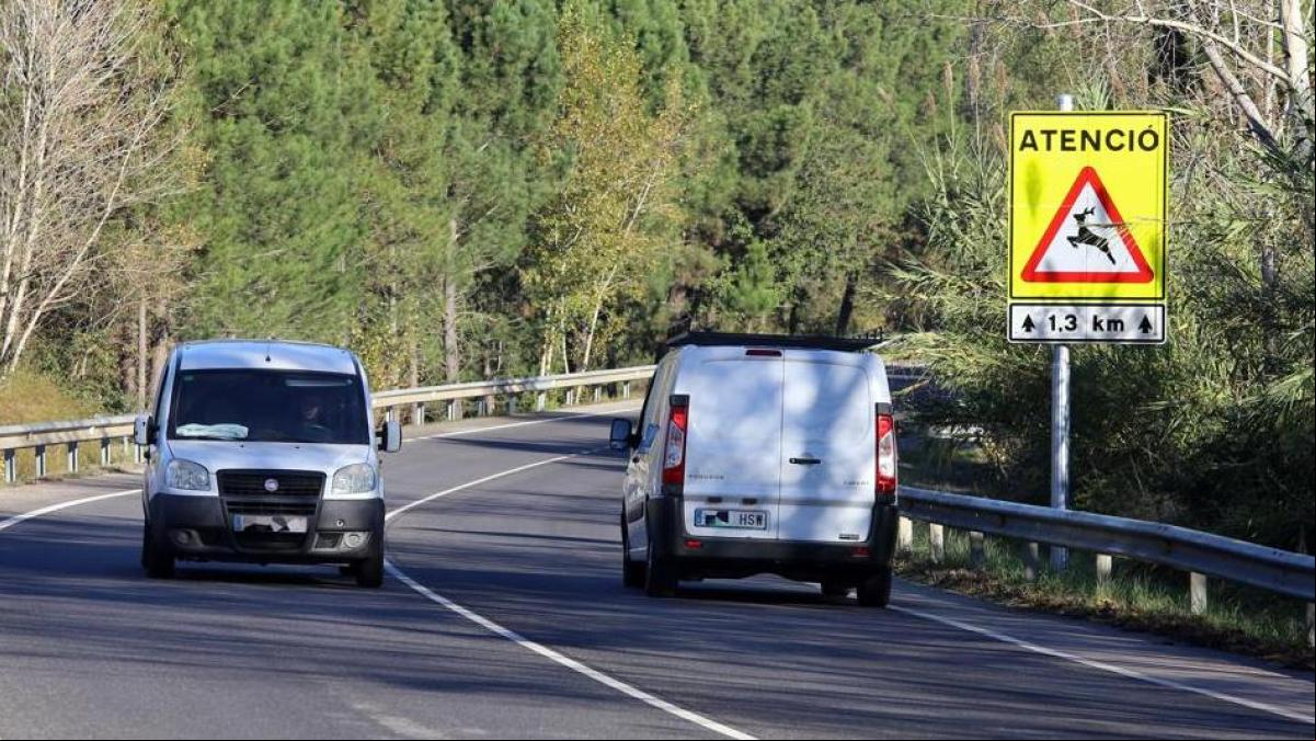 Evita accidentes por el atropello de animales con este dispositivo que ya llevan algunas patrullas de la Guardia Civil: es barato y fácil de montar