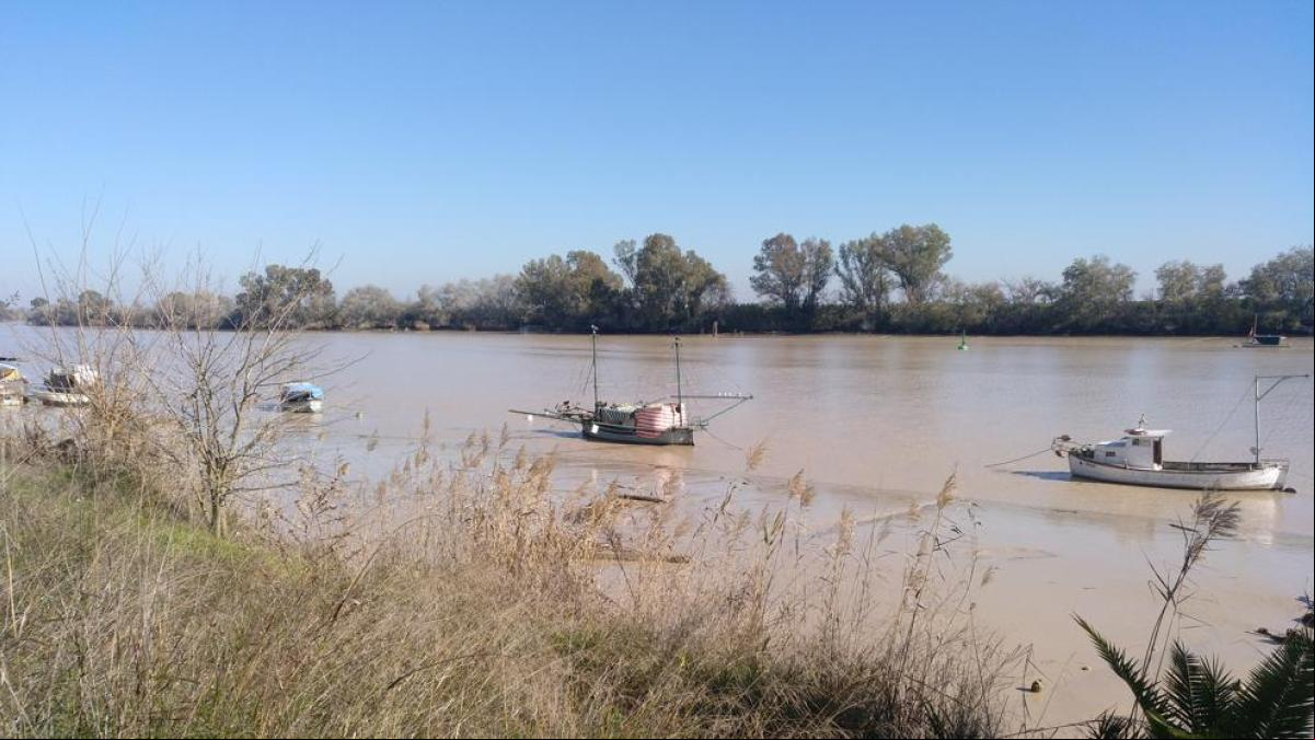 Se lanza al Guadalquivir huyendo de la Policía y los agentes lo rescatan para evitar que se ahogara
