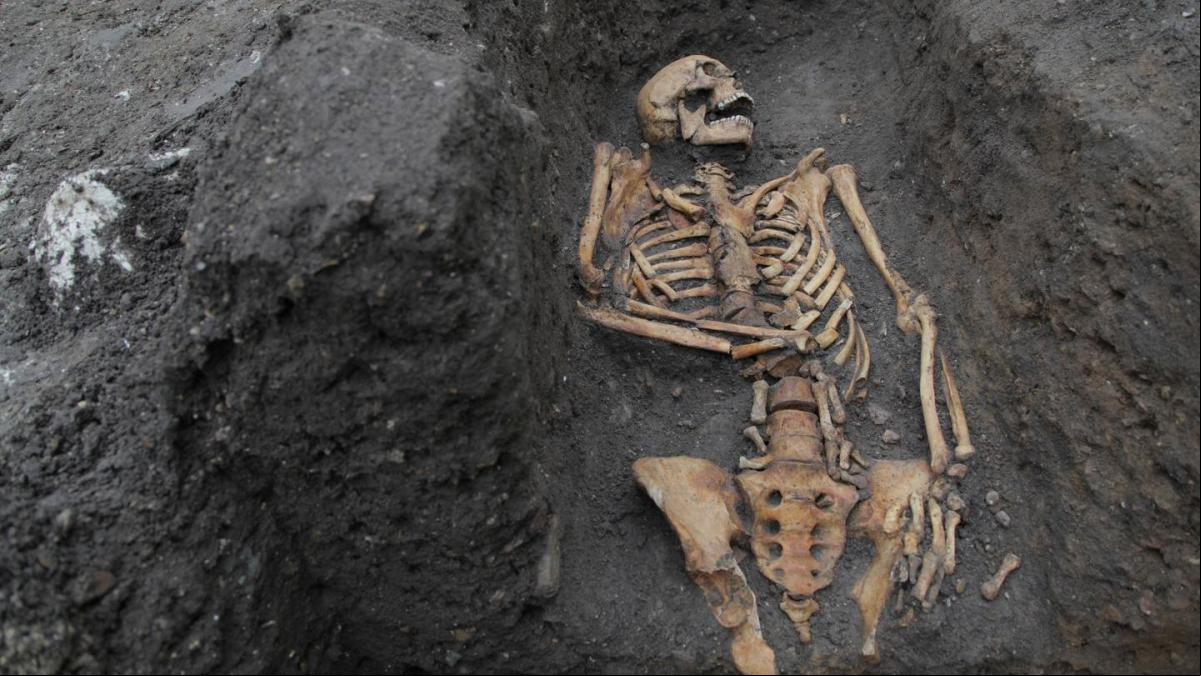 Hay personas inmunes al virus del sida, especialmente en Dinamarca, y se lo deben a un hombre que vivió en la zona del Mar Negro hace 9.000 años