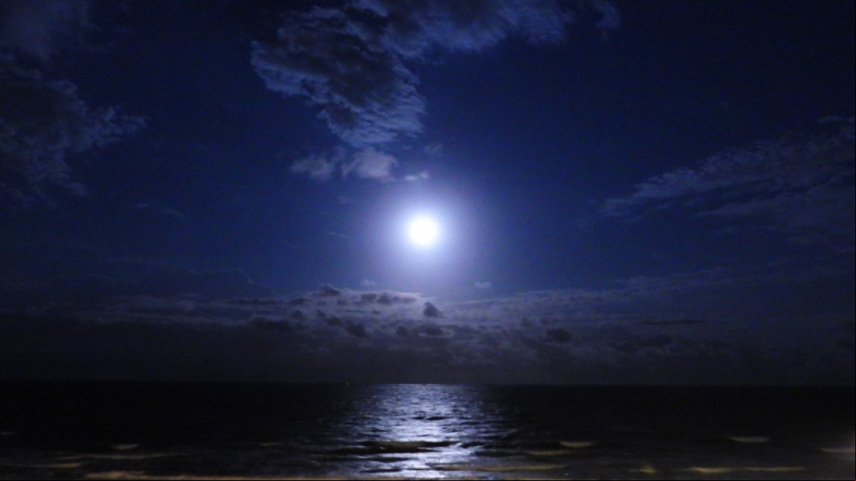 Idilio de la luna y el mar en Guardamar del Segura