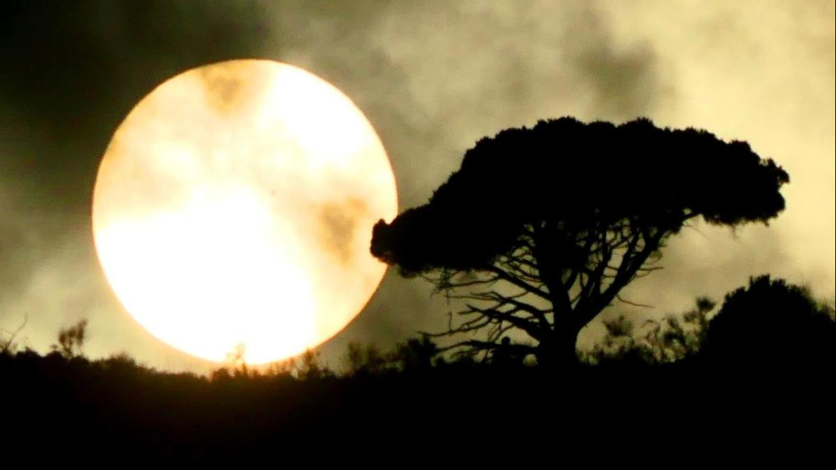 ¿Por qué se ha visto blanco el sol en Barcelona?