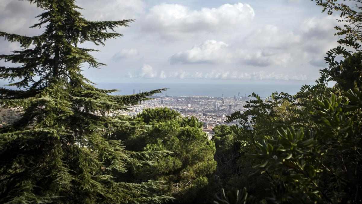 La última revolución verde quiere convertir el bosque en el alma de las ciudades