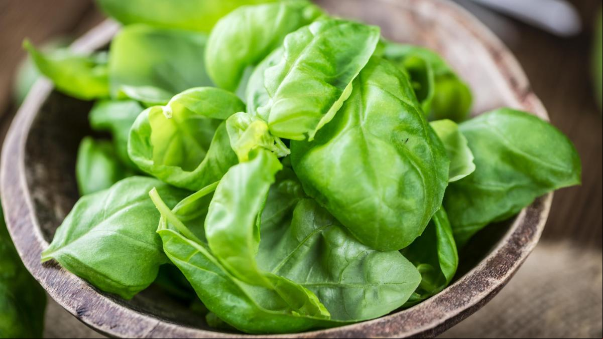 Albahaca, la planta sagrada que nos pone a Italia en la mesa