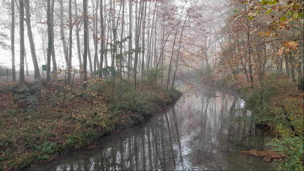 Conoce la ruta por el río Fluvià en Olot