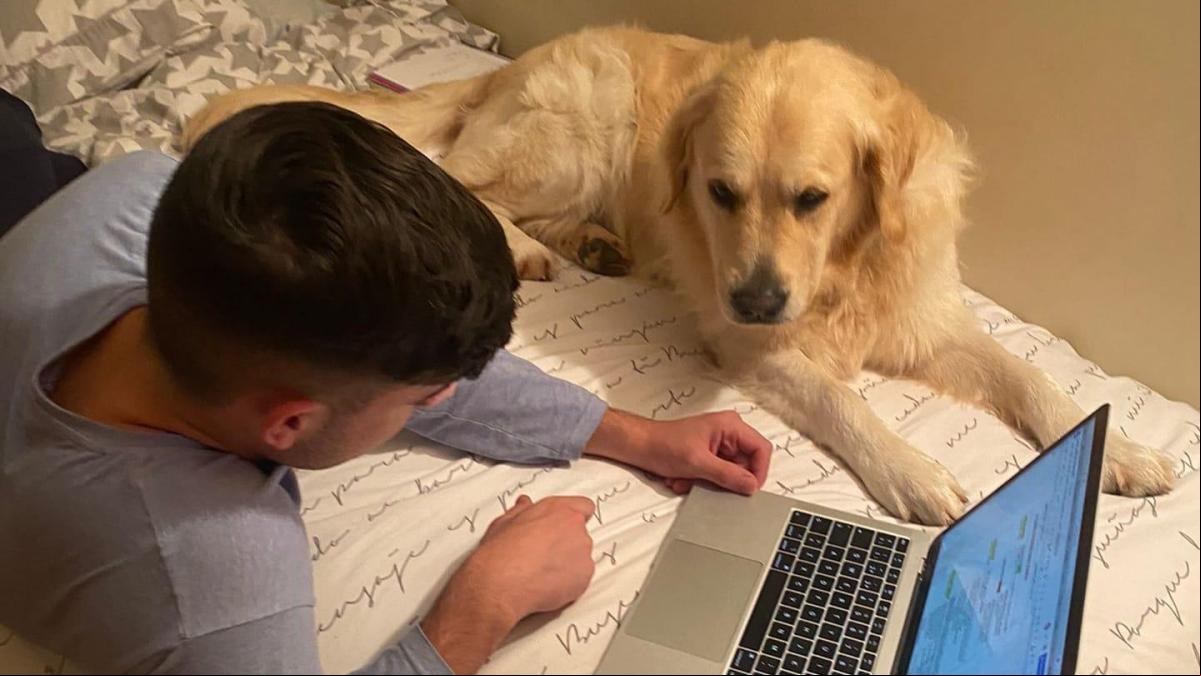 Jóvenes estudian mejor con su perro al lado