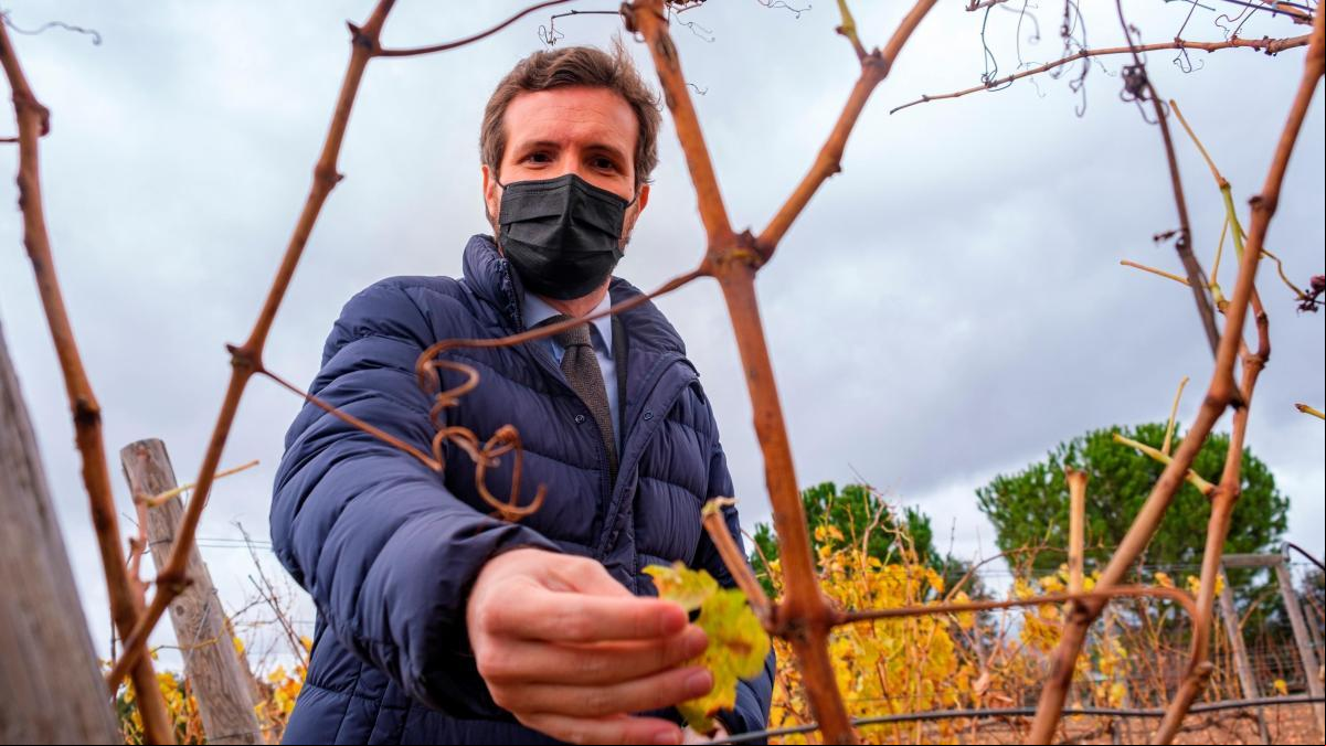 Las claves de la batalla del vino de Rioja, ahora en standby