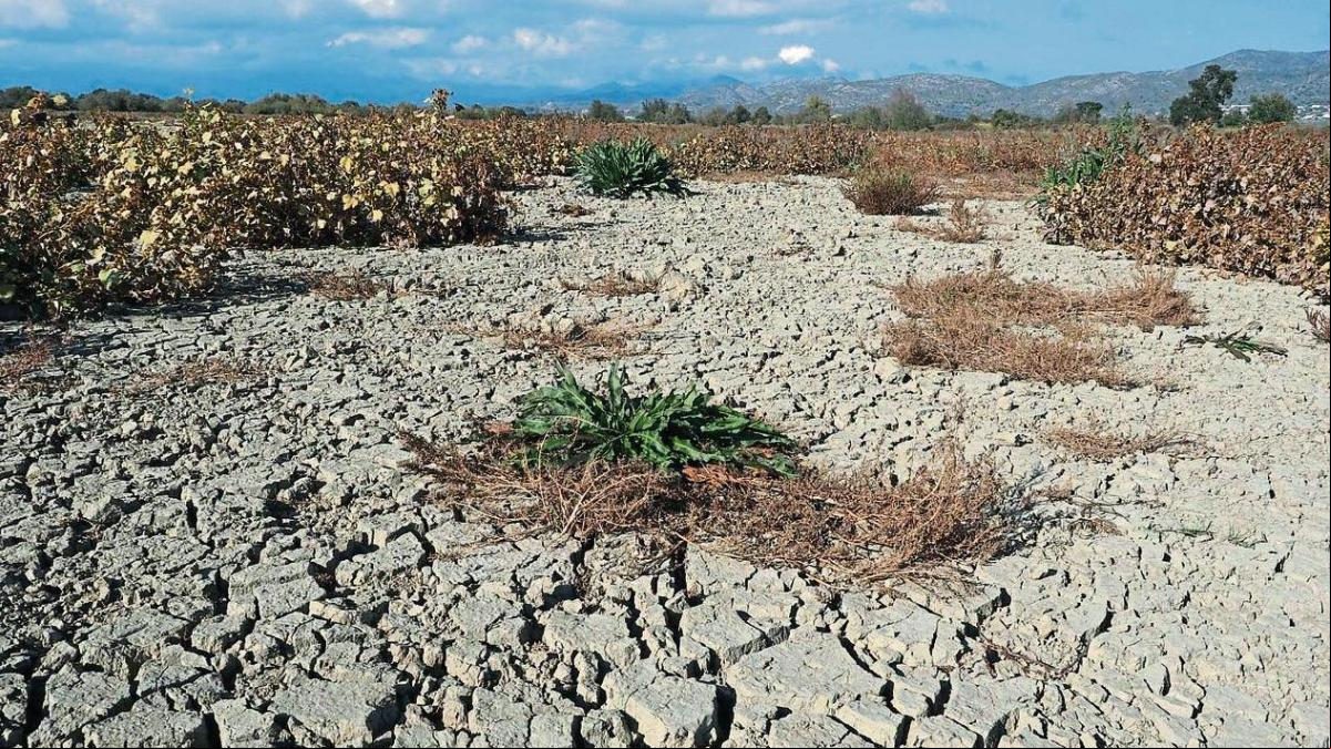 Los líderes económicos están más preocupados por el clima que por la inflación o la pandemia