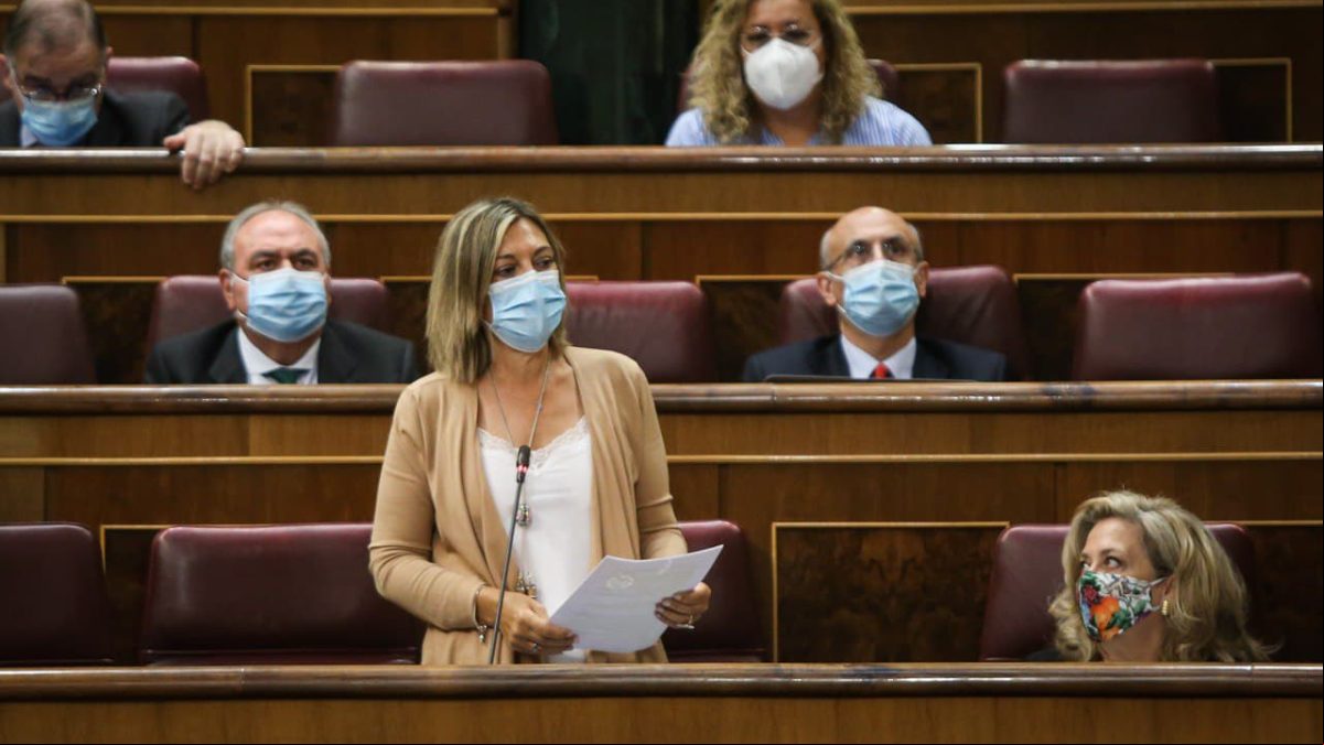 El PP asegura que en España no existen las macrogranjas