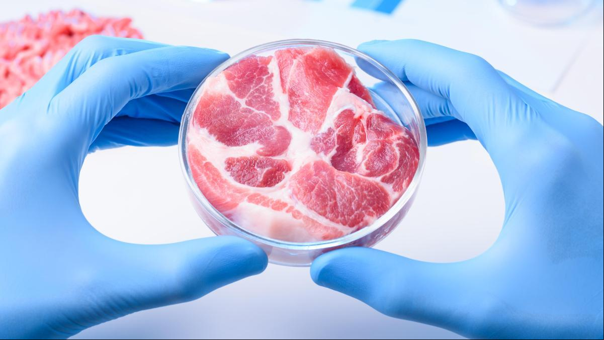 Italia, el primer país europeo que prohíbe los alimentos cultivados en laboratorio