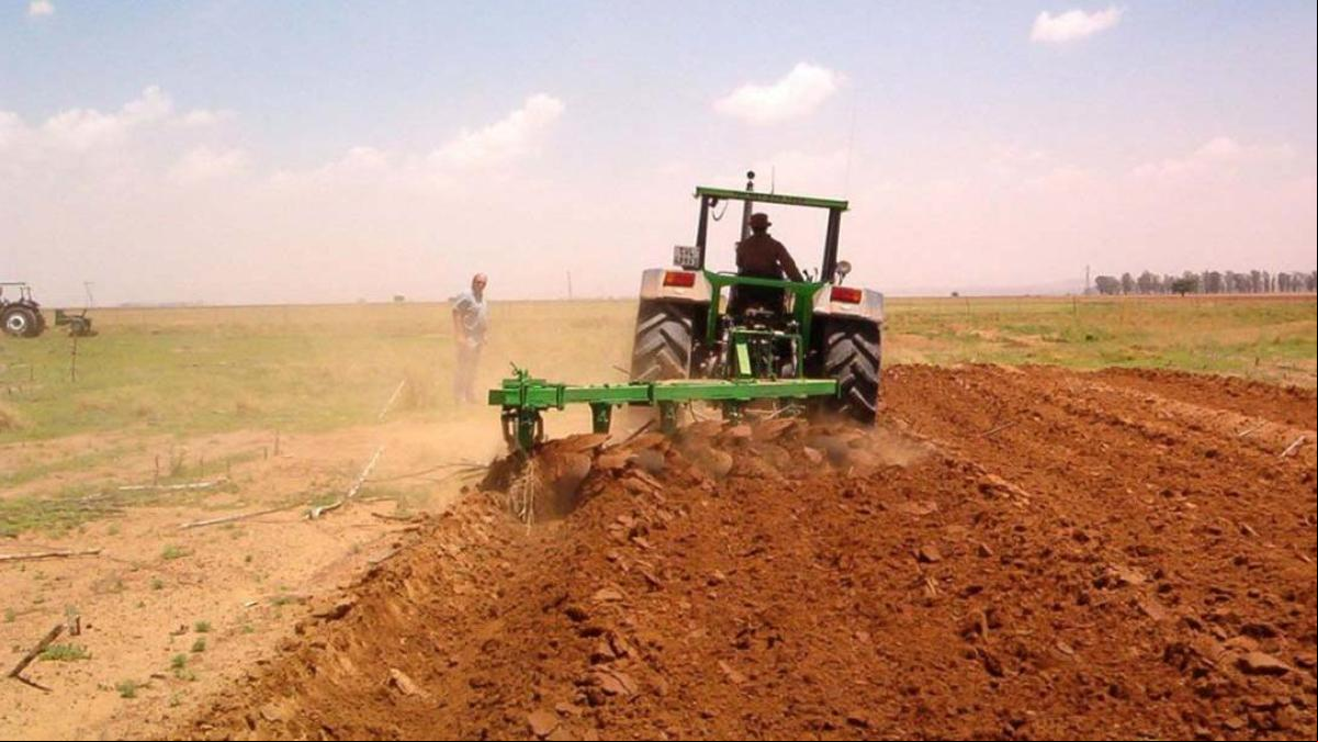 La agricultura ecológica en la Comunidad Valenciana retrocede a cifras previas a la covid