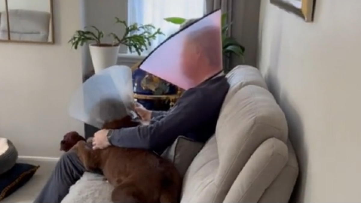 La entrañable imagen de un hombre con un collar para perros para que su mascota no se sienta sola