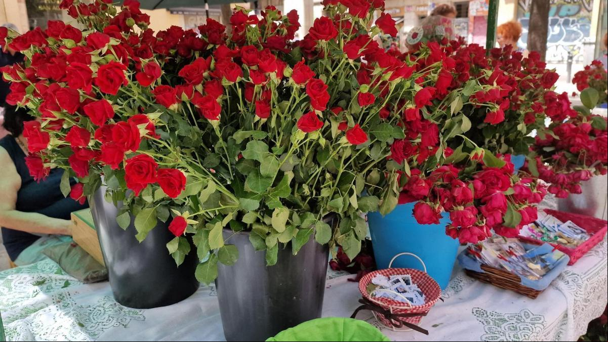 Cómo tener siempre dinero en el monedero con tan solo una rosa