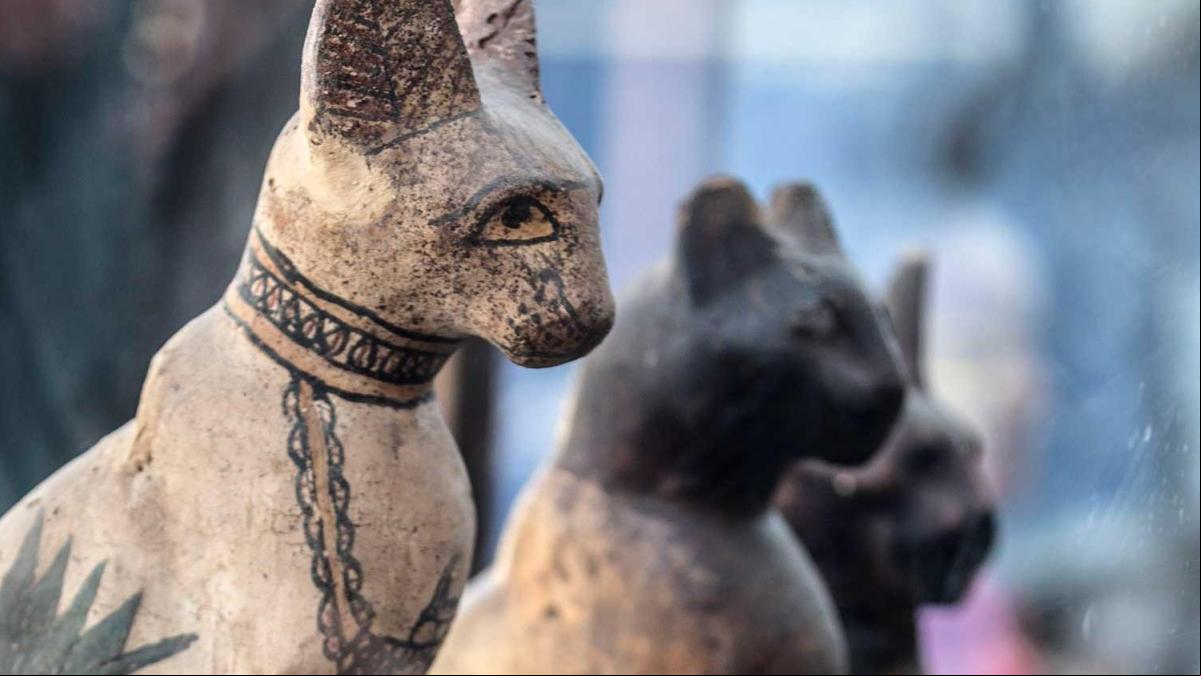 Así eran las mascotas en el Egipto faraónico