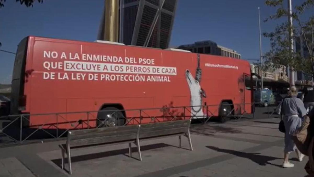 Un galgo ahorcado recorre las calles de Madrid: protesta contra el abandono de los perros de caza
