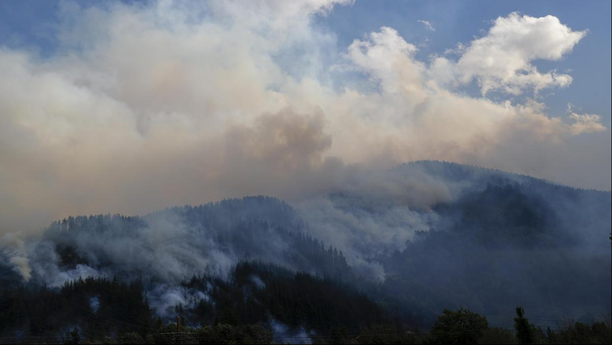 Controlado el incendio forestal en Bizkaia y Burgos tras arrasar 500 hectáreas