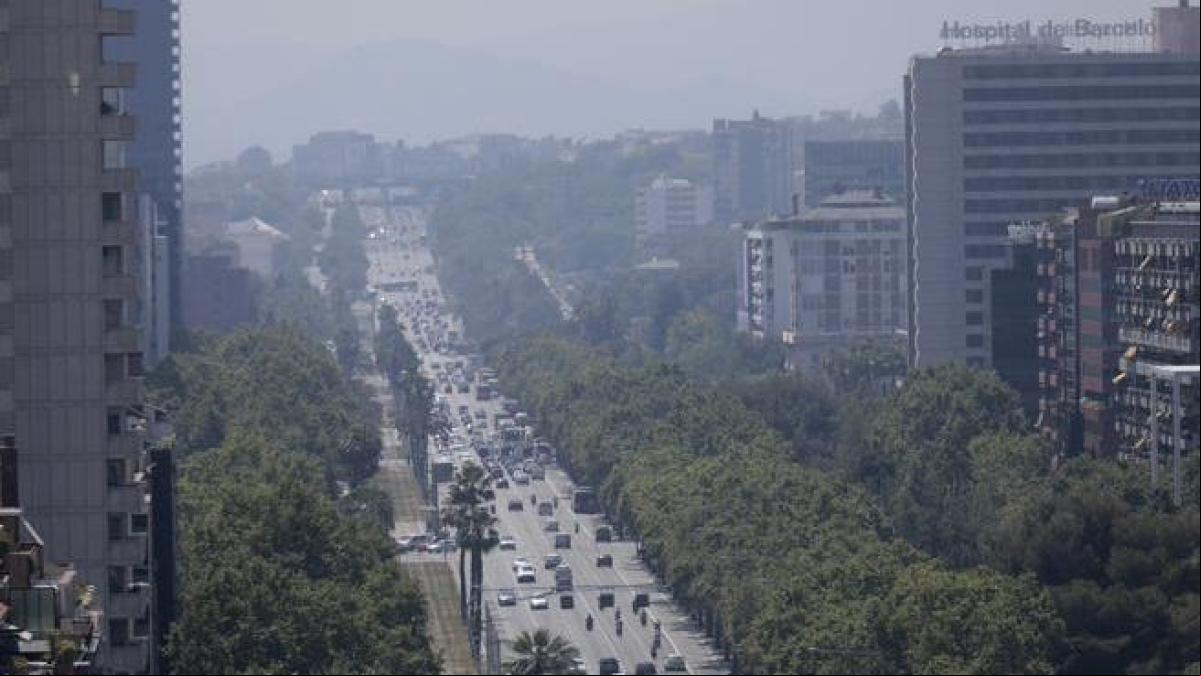 Casi el 99% de la población española respira aire contaminado por ozono