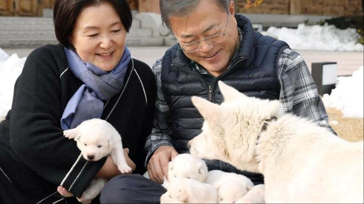 Los perros de la paz que regaló Kim Jong Un a Corea del Sur provocan una disputa política