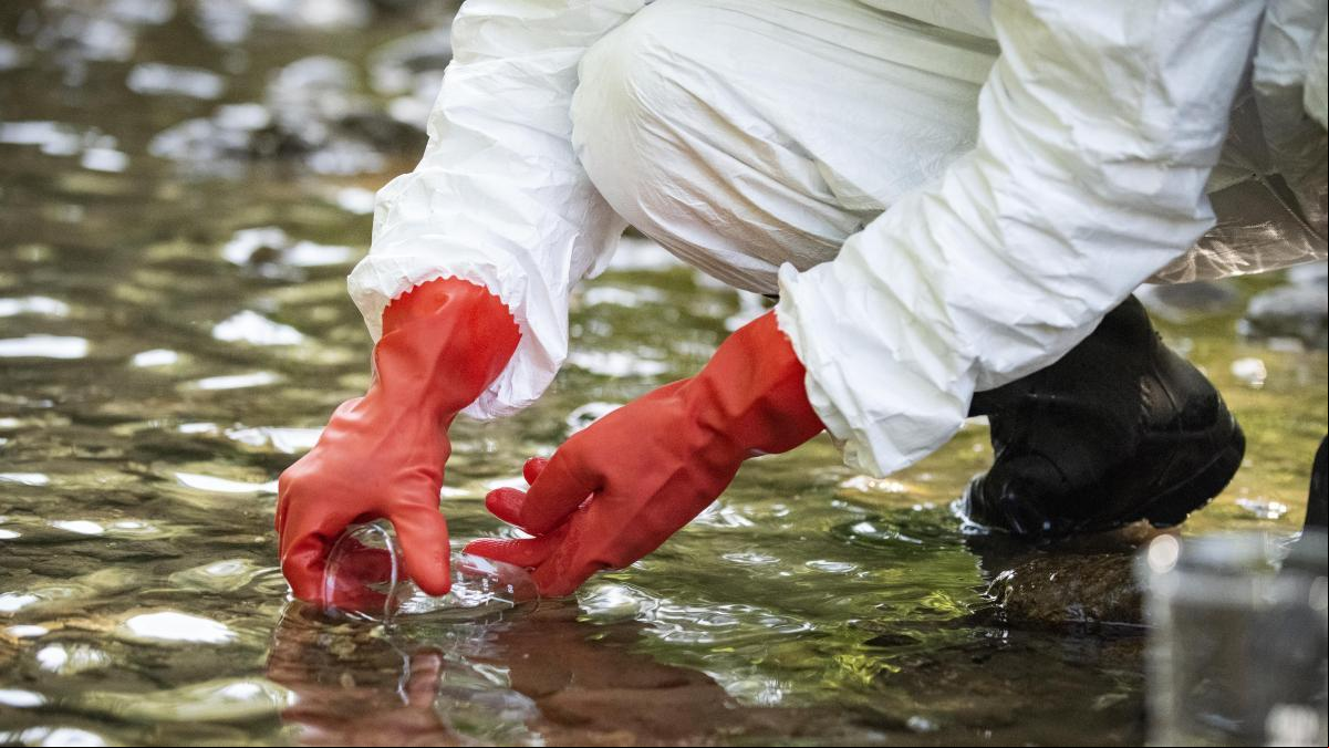 Europa condena a España por contaminar agua con nitratos agrarios en ocho comunidades