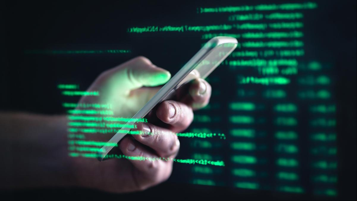 La enorme y sofisticada multinacional de las estafas online