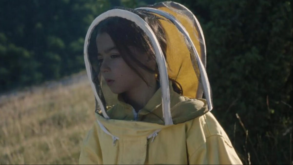Málaga premia 20.000 especies de abejas, la tierna historia de una niña trans