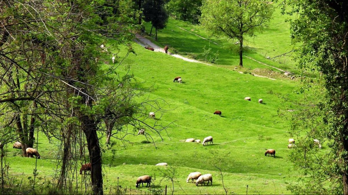 El verde se impone en la Catalunya central