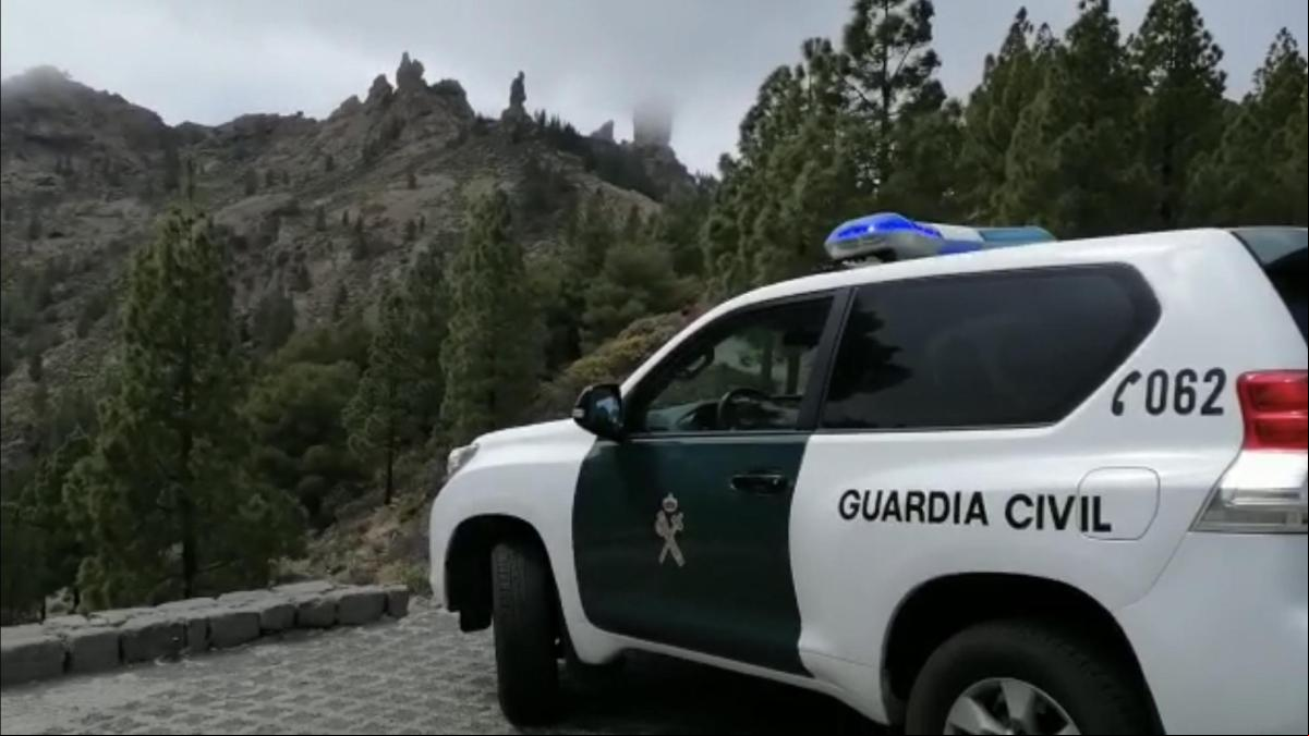 Detenido en Santa Brígida un hombre bajo vigilancia por violencia machista por maltratar a sus dos bebés