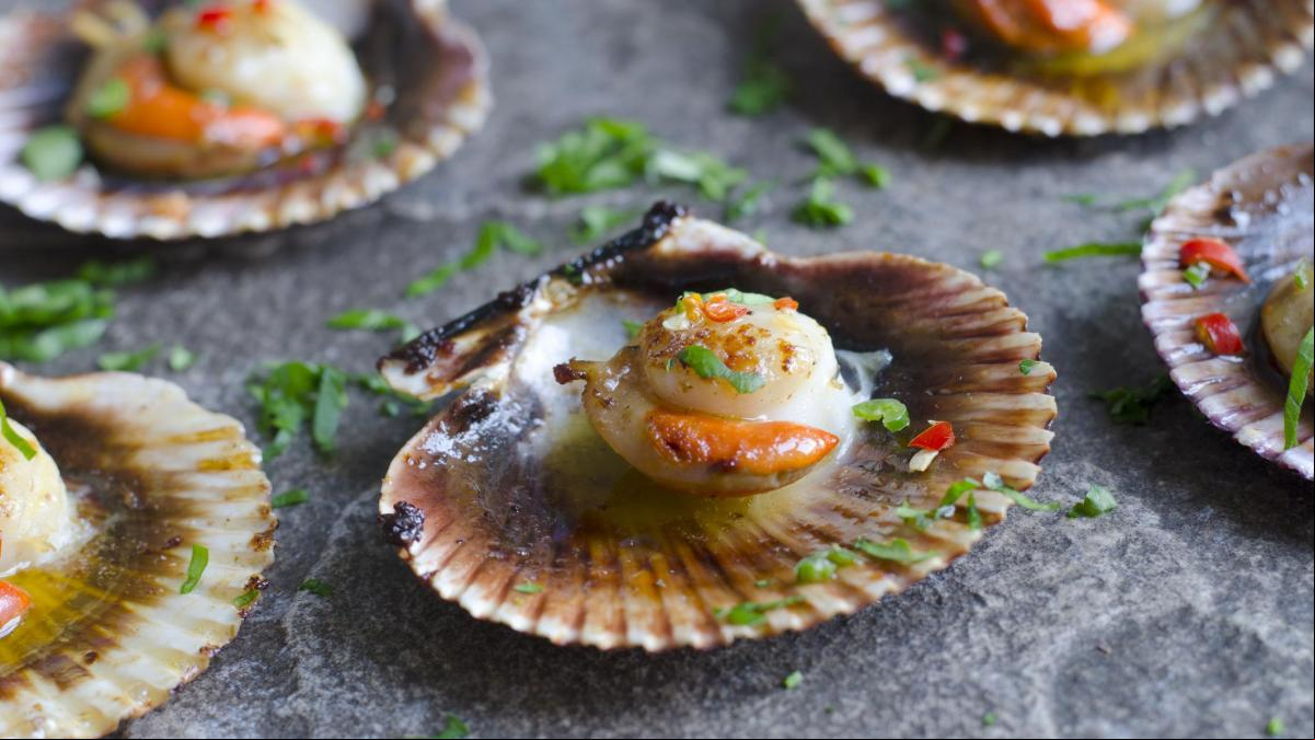 Estos son los alimentos más ricos en taurina del mercado