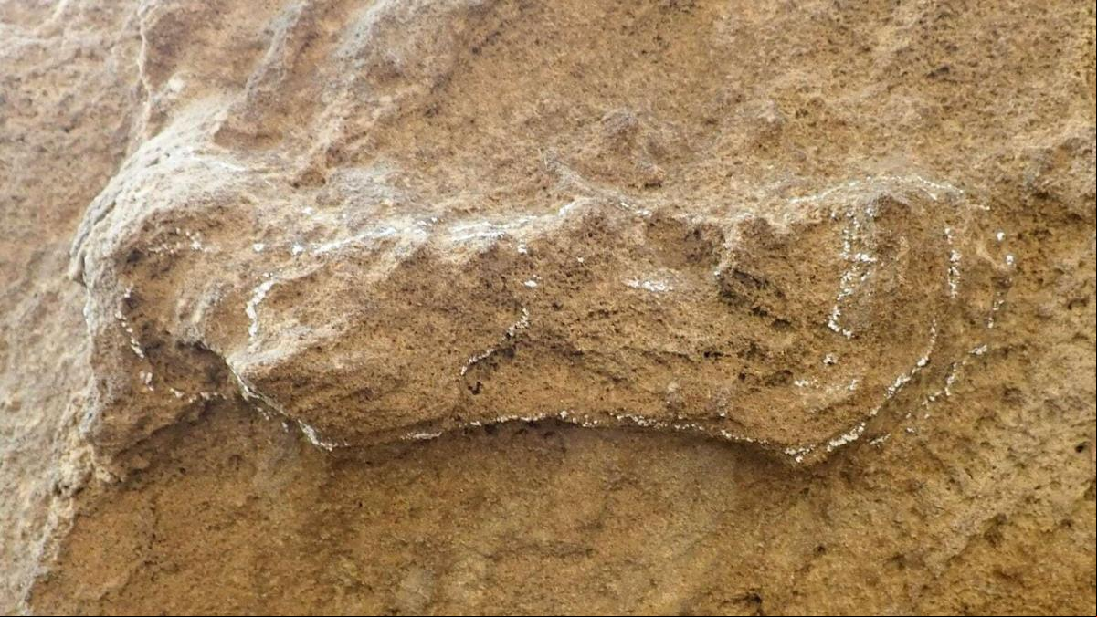 Descubierta en Sudáfrica la huella de Homo Sapiens más antigua del planeta
