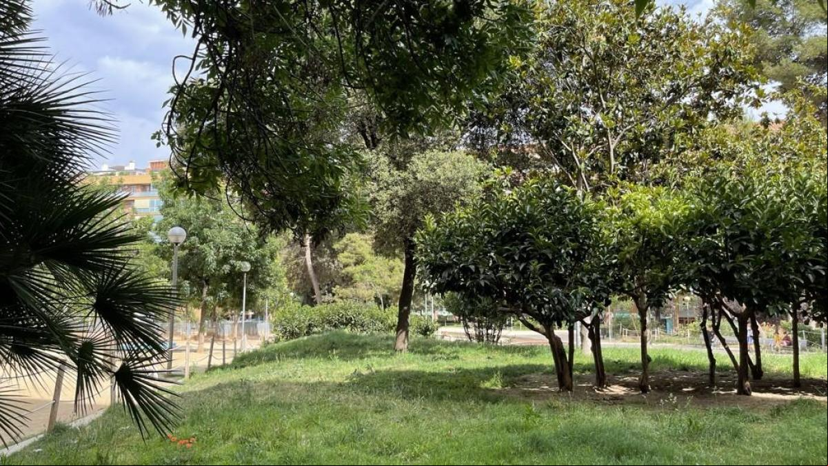 El pequeño oasis de Les Corts