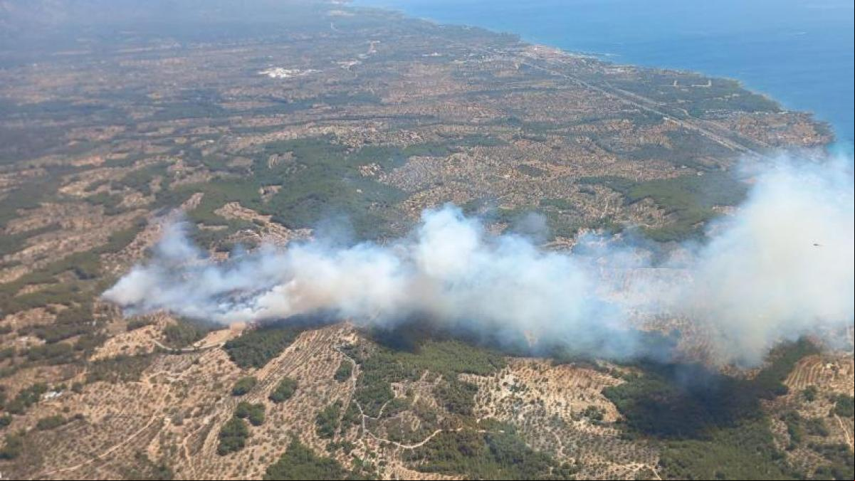 Controlado el incendio del Perelló después de quemar 25 hectáreas de bosque y cultivos
