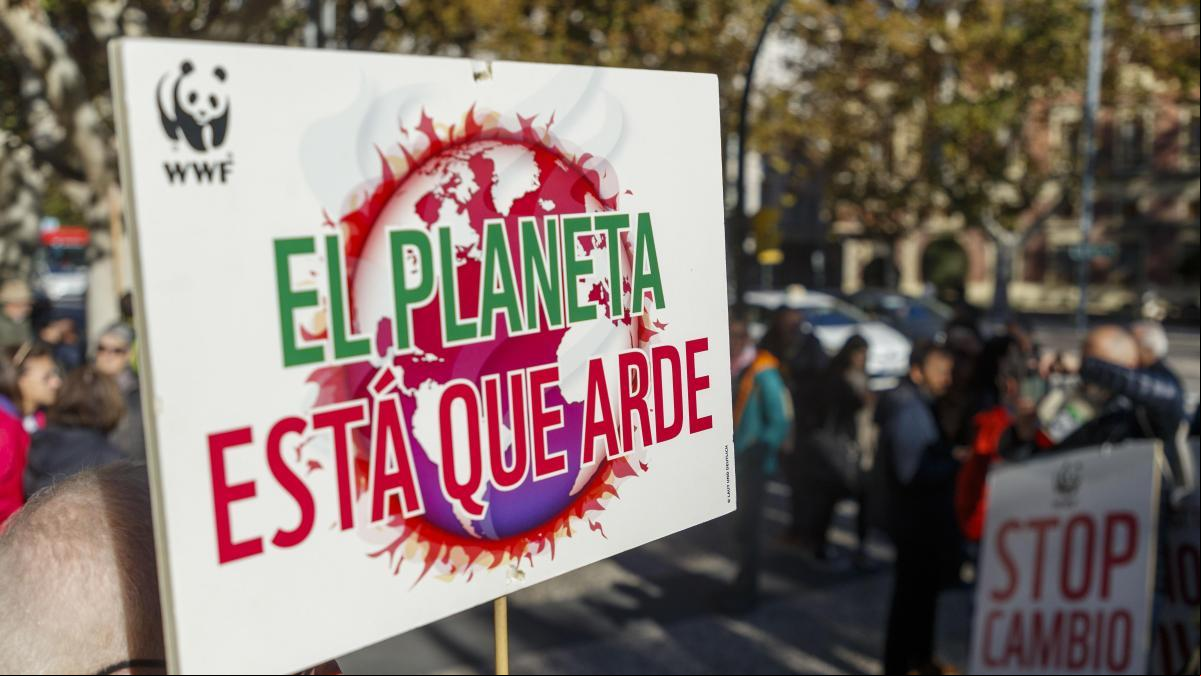 El ecofeminismo motor del siglo XXI