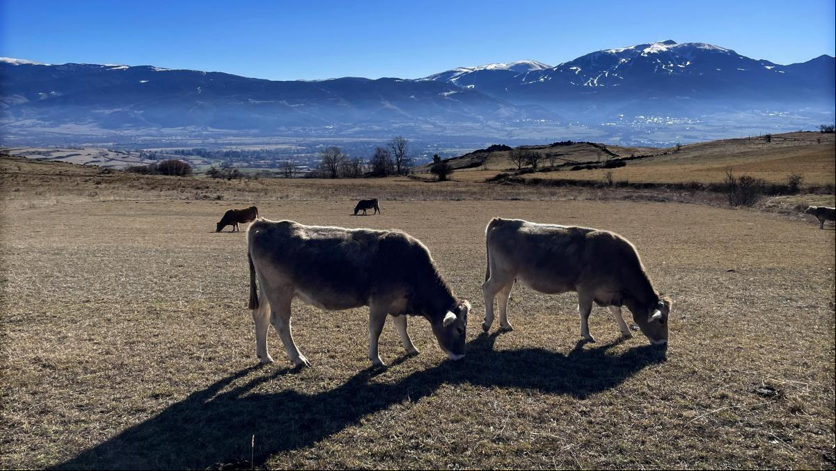 Una sombrilla para la Tierra